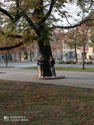 image000004